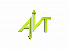 Profile photo of Barb Buchanan